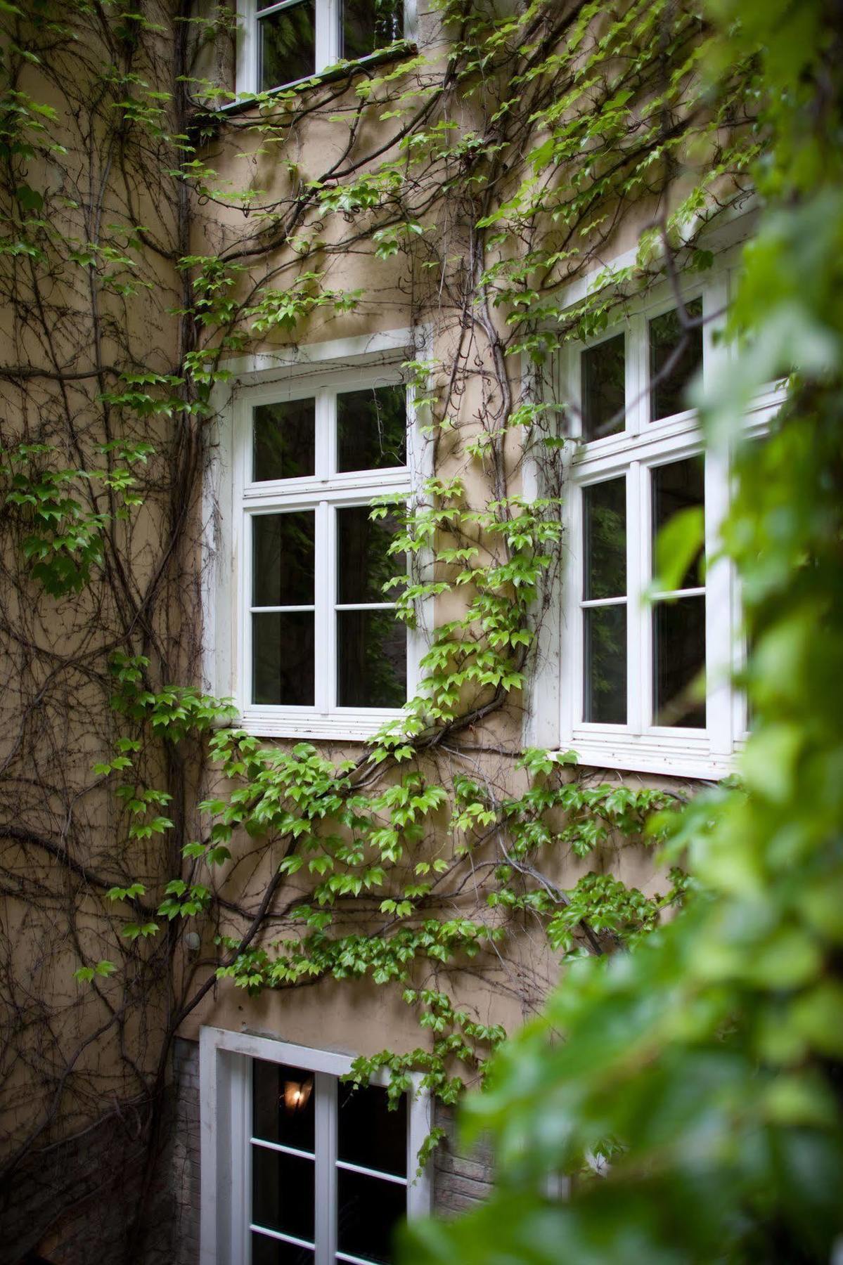 Hotel Schwalbe Wenen Buitenkant foto